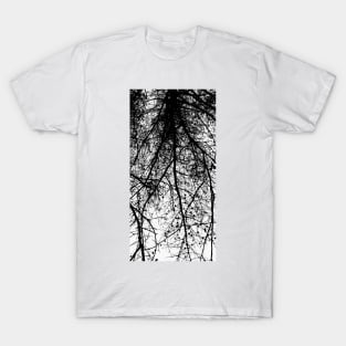 Under the Trees Cont'd T-Shirt